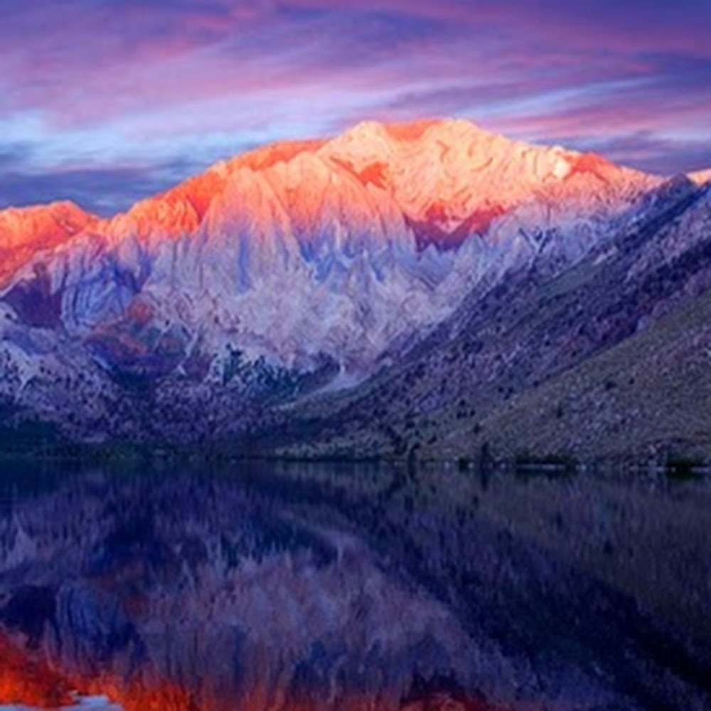 Meet your Posher, Kira